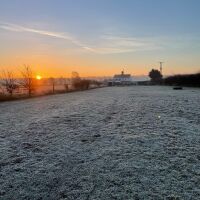 1-Acre Private Dog Walking Paddock, Lincolnshire - IMG_4708.jpg