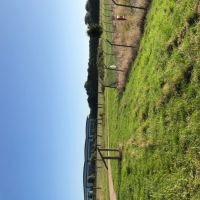 Circular dog walk in Banbury, Oxfordshire - Dog walk near Banbury.jpeg
