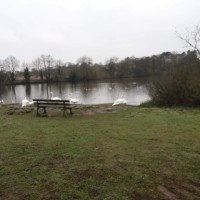 Just off the A50, beautiful pool, meadow, and option for long dog walks, Leicestershire - 12A4CE70-5BB1-48CE-A34D-07A28C0FA40F.jpeg