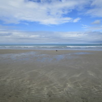 Poppit dog-friendly beach near Cardigan, Wales - Wales dog-friendly beach and dog walk