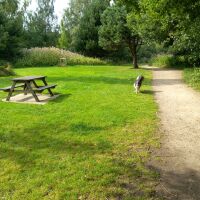 Bury dog walk, Lancashire - 1000011806.jpg