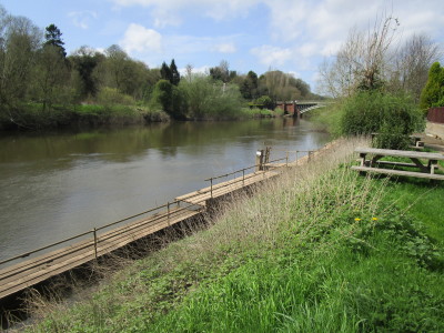 Holt Fleet dog-friendly pub and dog walk, Worcestershire - Driving with Dogs