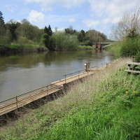 Holt Fleet dog-friendly pub and dog walk, Worcestershire - Dog walks in Worcestershire