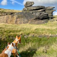 The White House at Littleborough dog walks, Greater Manchester - EBD74328-BFE2-413A-B8AF-F928262D592E.jpeg