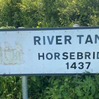Riverside dog walk and dog-friendly inn, Devon - Devon dog walk