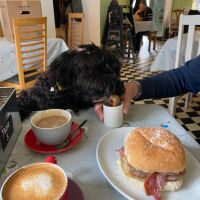 Henry's cafe - dog-friendly, Cheshire - 85B32770-20B7-4527-851D-F26BF4809296.jpeg