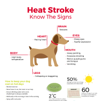 Heat stroke know the signs.png