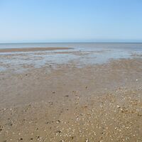 A149 Heacham South Beach, Norfolk - Norfolk dog-friendly beaches.JPG
