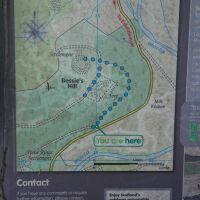 Eskdalemuir Forest dog walk, Scotland - Woodland dog walk Scottish Borders