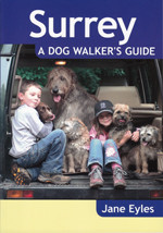 Surrey: A Dog Walker's Guide