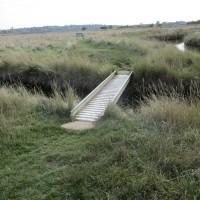 Sheerness country park dog walk, Kent - Kent dog-friendly pubs with dog walks