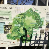 Morriston dog walk, Wales - 34750350-768E-475D-AB98-DAC2E86982EA.jpeg