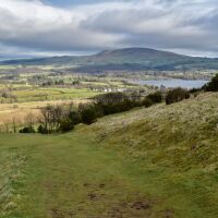 Sale Fell dog walk, Cumbria - DSC_0682.jpeg