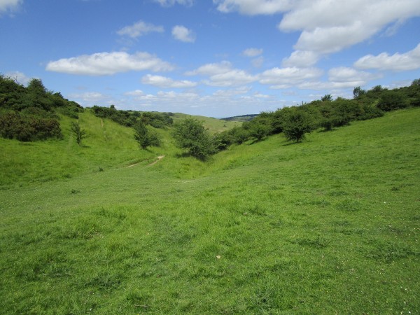 A435 dog walk and dog-friendly pub near Cheltenham, Gloucestershire ...