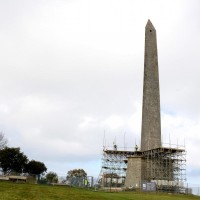 Woodland trails for dogs and kids near the M5, Somerset, Somerset - wellingtonobelisk.jpg