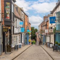 Dog-friendly Lincoln-shutterstock