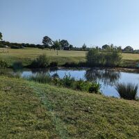 Old Buckenham, close to A11, Norfolk - IMG-20230608-WA0010.jpg