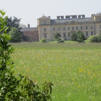 A38 Croome Park dog walks, Worcestershire - Worcestershire dog walks and dog-friendly pubs.JPG