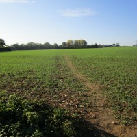 A253 Deal area dog-friendly pub, Kent - Kent dog-friendly dog walk and dog-friendly pub