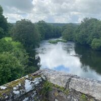 Riverside dog walk and dog-friendly inn, Devon - Devon dog walk