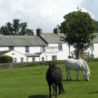 George and Dragon dog-friendly bar and rooms, Cumbria - 1FC58735-BCCF-4415-AAFE-00355EF11809.jpeg