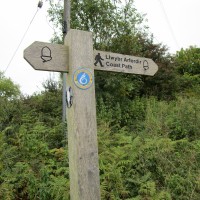 Freshwater East dog-friendly beach Pembrokeshire, Wales - Dog walks in Wales