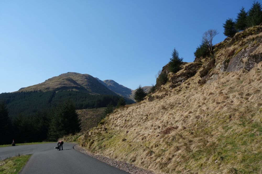 Military Road dog walk Northbound A83, Scotland - Driving with Dogs