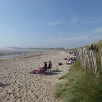 Beadnell dog-friendly beach, Northumberland - Dog-friendly beaches in Northumberland