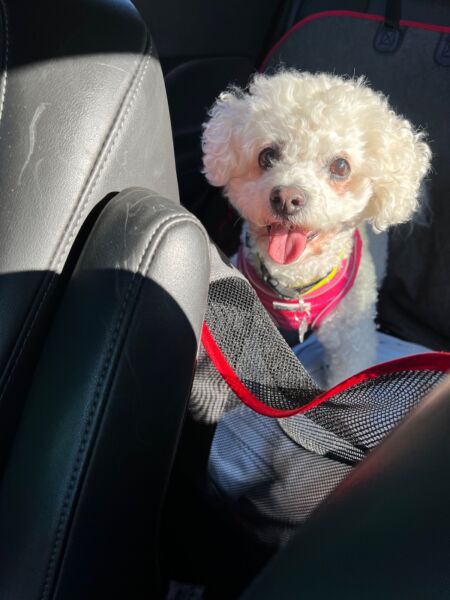 Margo excited to get to another new destination! 
