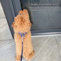 Dog-friendly cafe near M6 Junction 42, Cumbria - Dog-friendly cafe in Cumbria