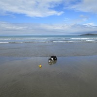 Poppit dog-friendly beach near Cardigan, Wales - Wales dog-friendly beach and dog walk
