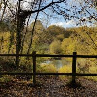 Beacon Country Park, Kent - E44E8F5B-6193-4651-A807-4D5789F1E91B.jpeg