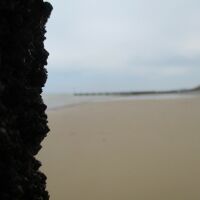 Overstrand dog-friendly cafe and beach, Norfolk - Norfolk dog-friendly beaches.JPG