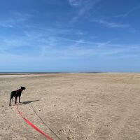 Ainsdale Beach nr Southport. Finns favourite, Merseyside - IMG_2239.jpeg