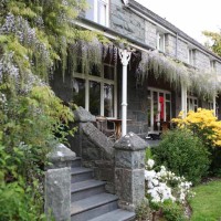 Llanbedr dog-friendly pub, Wales - Wales dog-friendly pub