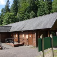 Forest dog walk with waterfalls, Scotland - Cowal peninsula dog walks