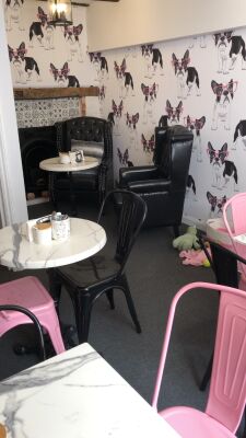 Dog centred Cafe set up for Dogs and owners, Kent - Driving with Dogs