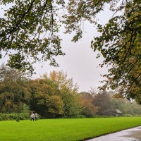 Marbury dog walks near Comberbach, Cheshire - IMG_20191012_145859.jpg