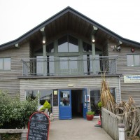 Freshwater East dog-friendly beach Pembrokeshire, Wales - Dog walks in Wales