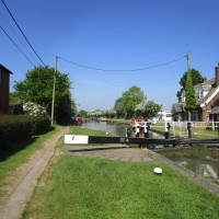 A5 canalside dog walk between Rugby and Northampton, Northamptonshire - Dog walks in Northamptonshire