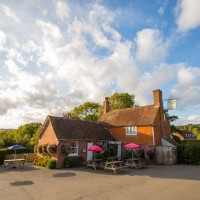 High Weald dog-friendly pub, East Sussex - Sussex dog-friendly pub and dog walk