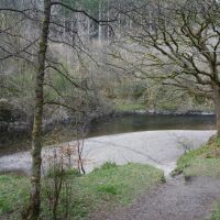 Accessible riverside dog walk and free parking, Scotland - Dog walks and refreshments on the A84