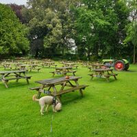Little Manor dog-friendly country pub, Cheshire - 20240527_123739.jpg
