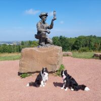 Silverhill Wood dog walks, Nottinghamshire - Dog walk in Nottinghamshire