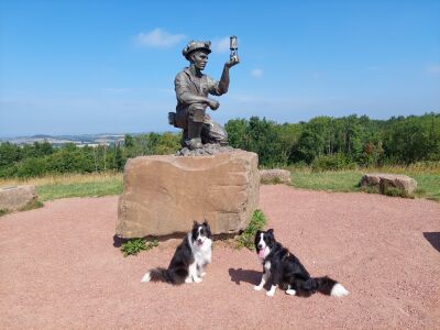 Silverhill Wood dog walks, Nottinghamshire - Driving with Dogs